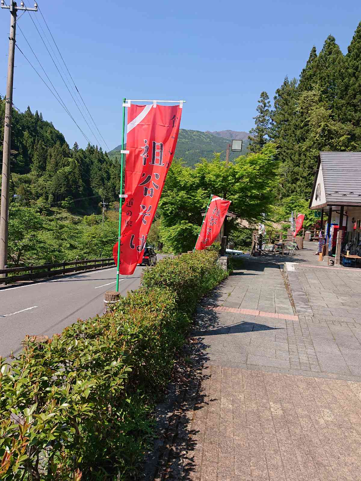 投稿された画像