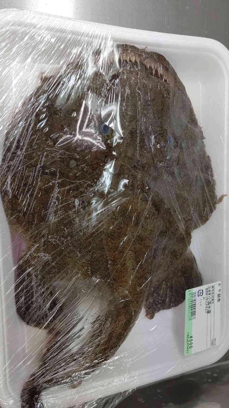 投稿された画像