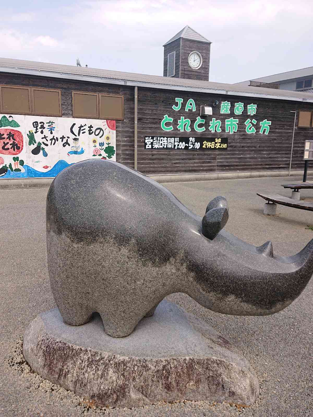 投稿された画像