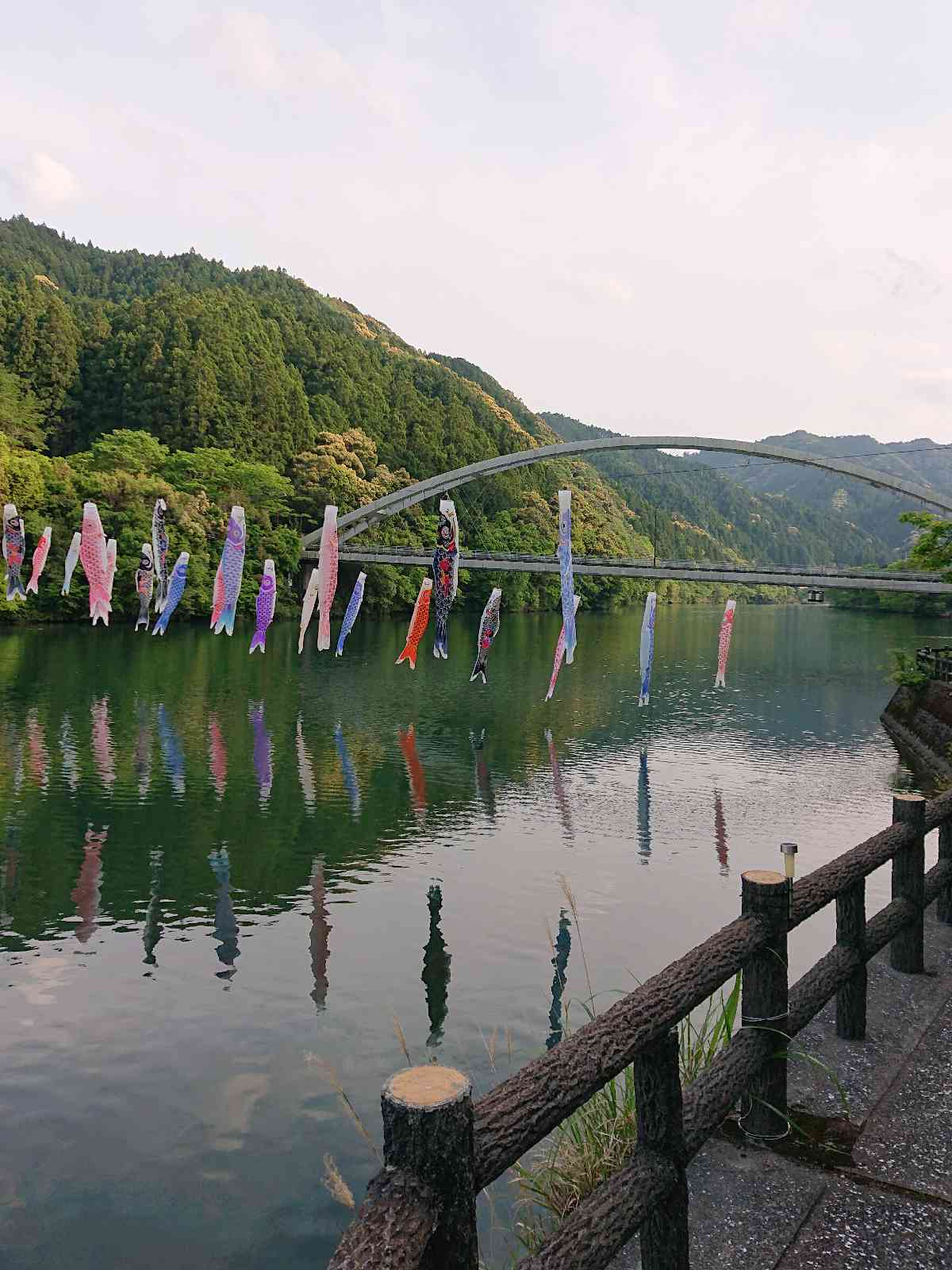 投稿された画像