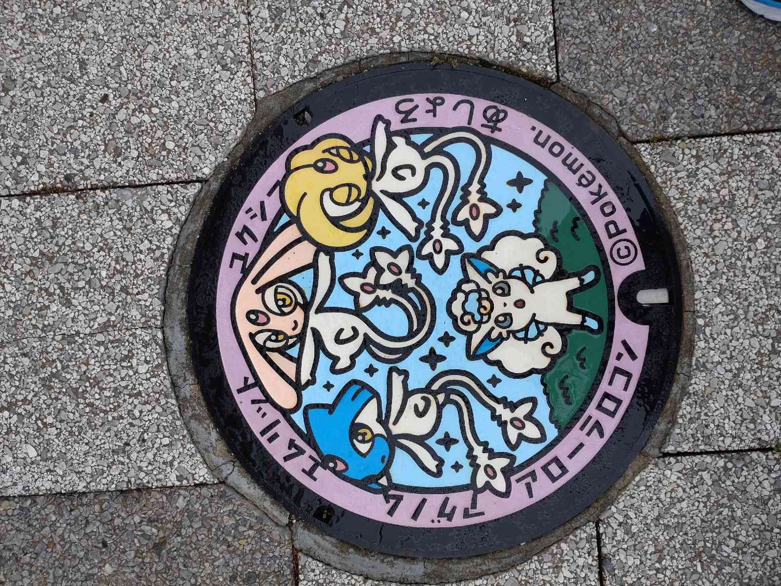 投稿された画像