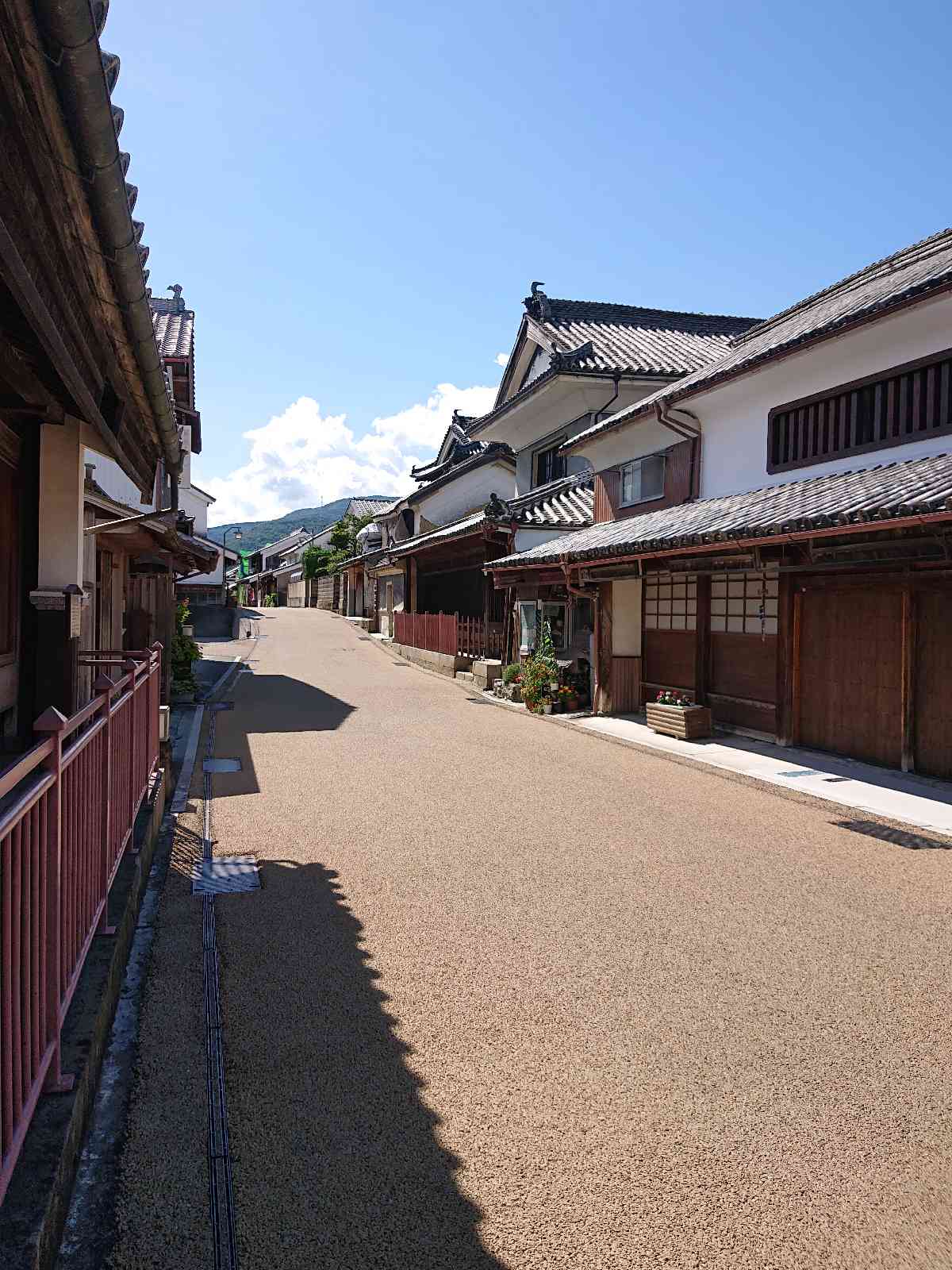 投稿された画像