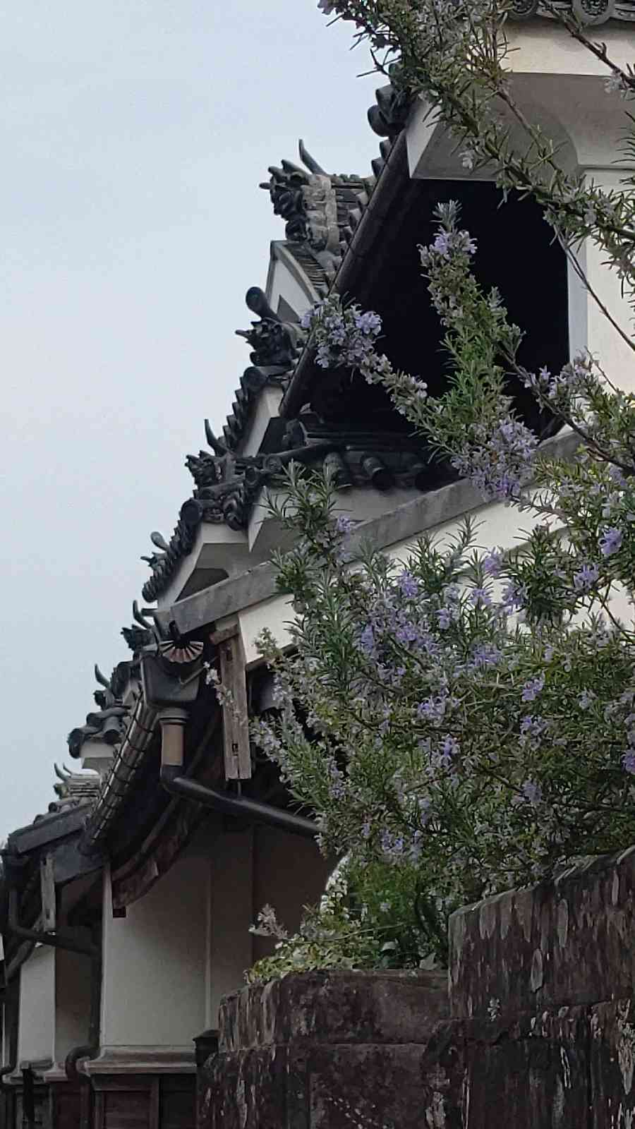 投稿された画像