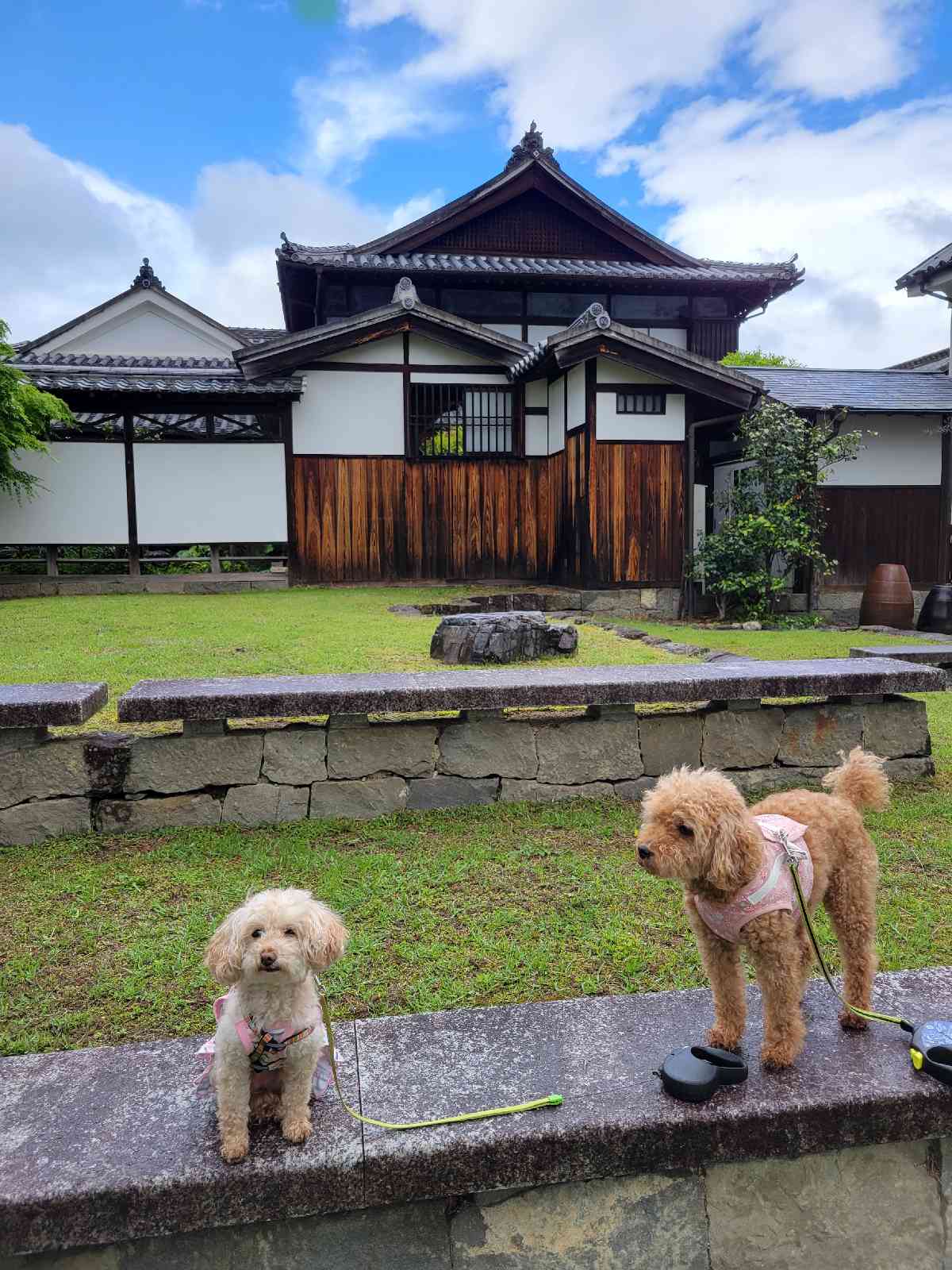 投稿された画像