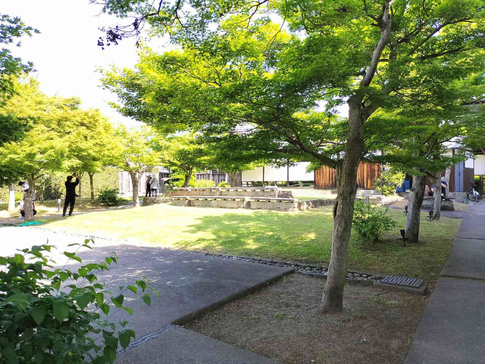 投稿された画像