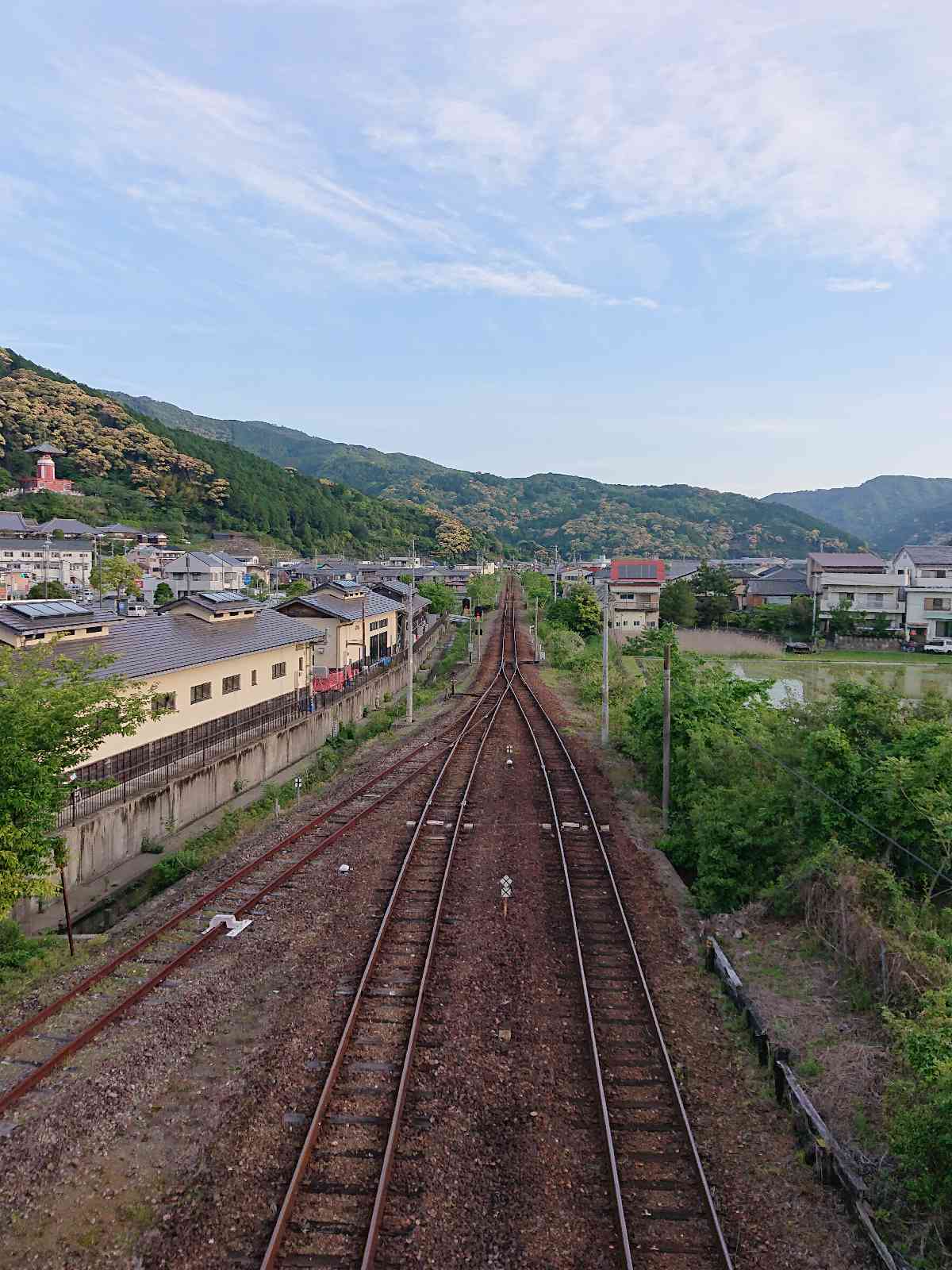 投稿された画像