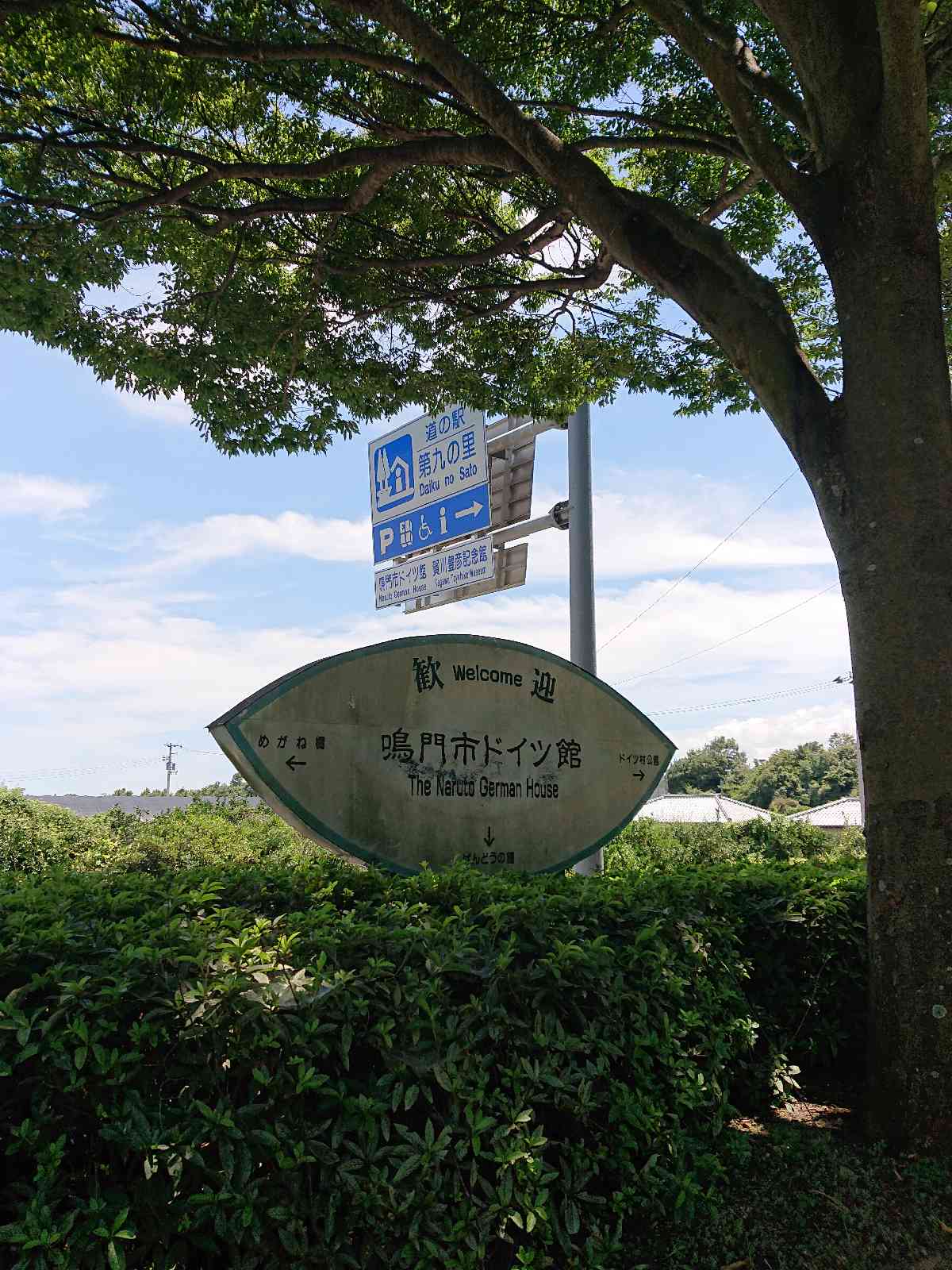投稿された画像