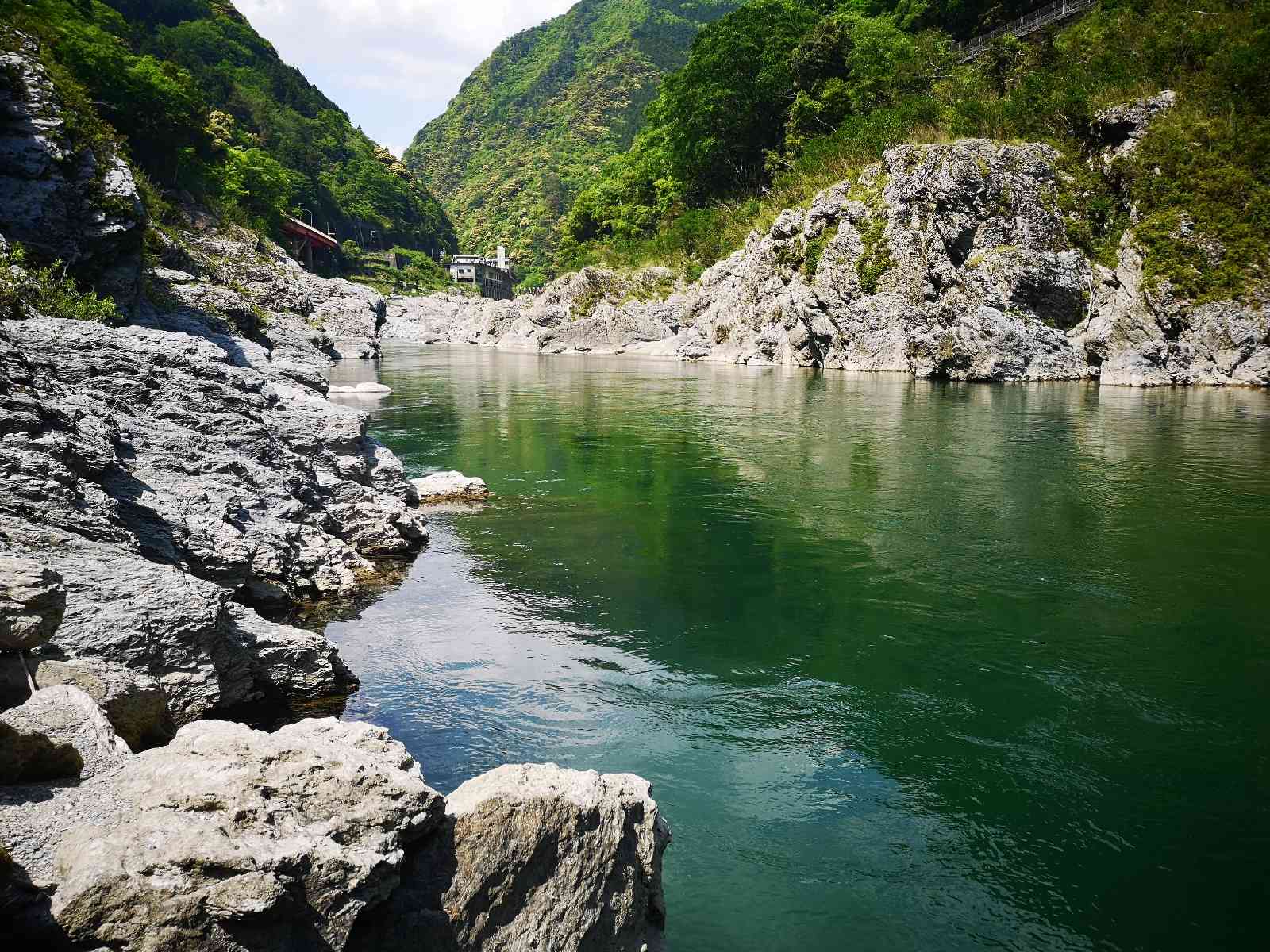 投稿された画像