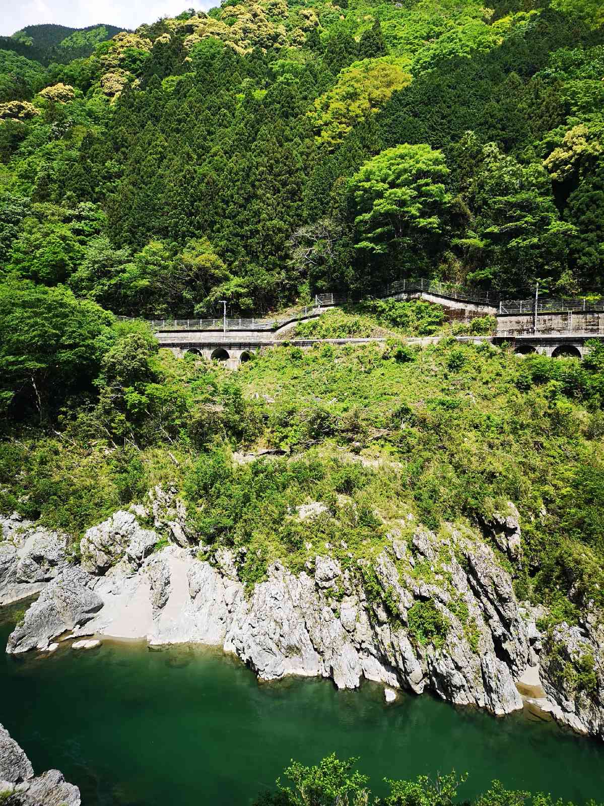 投稿された画像