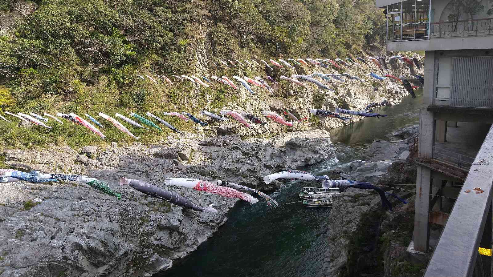 投稿された画像