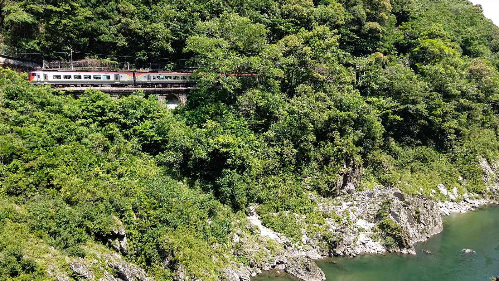 投稿された画像