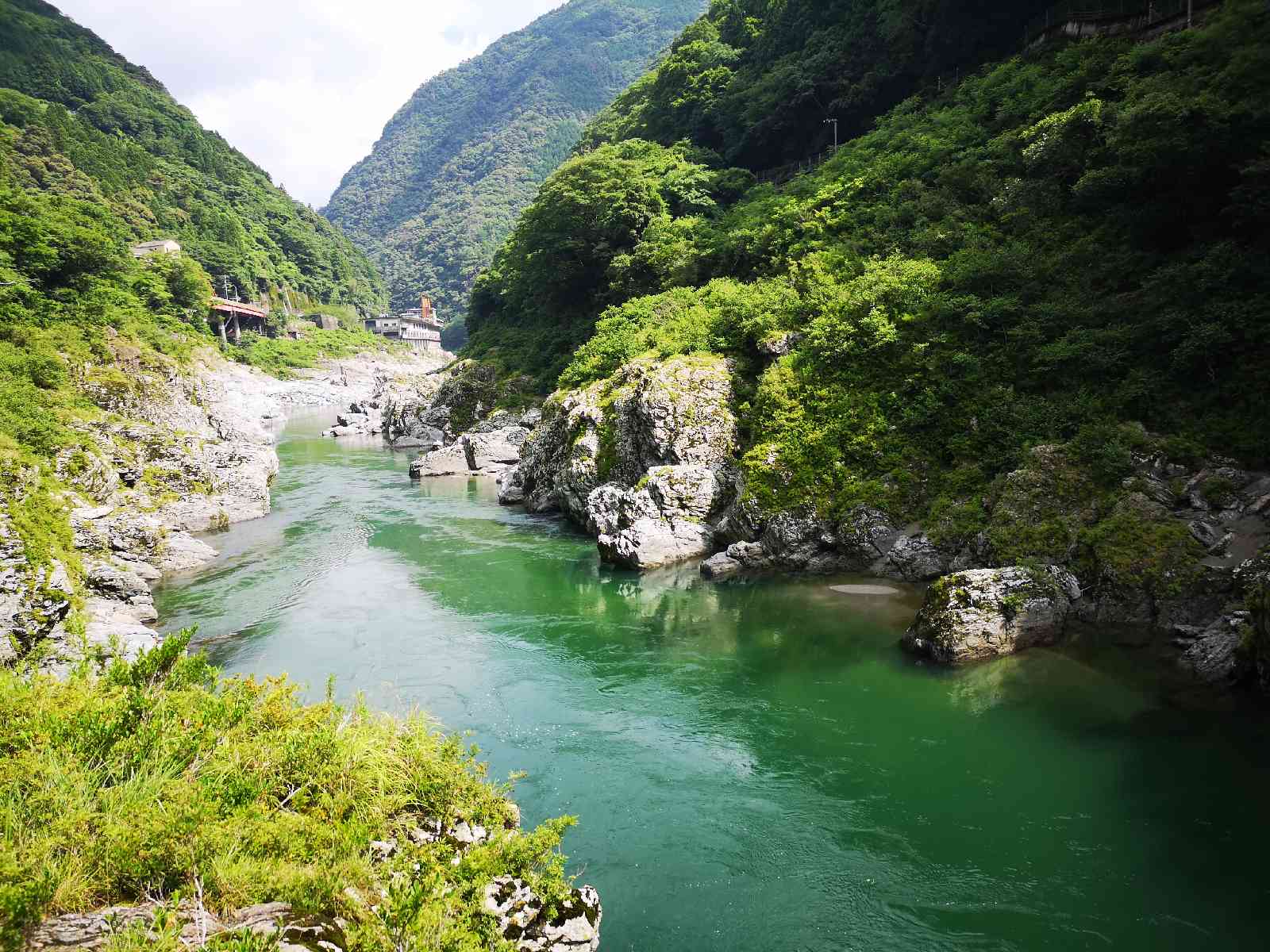 投稿された画像