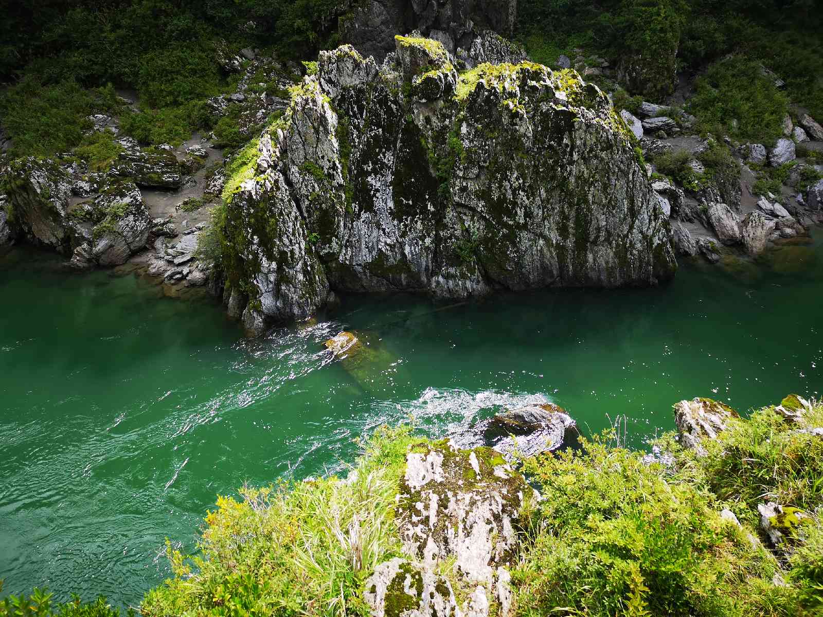 投稿された画像