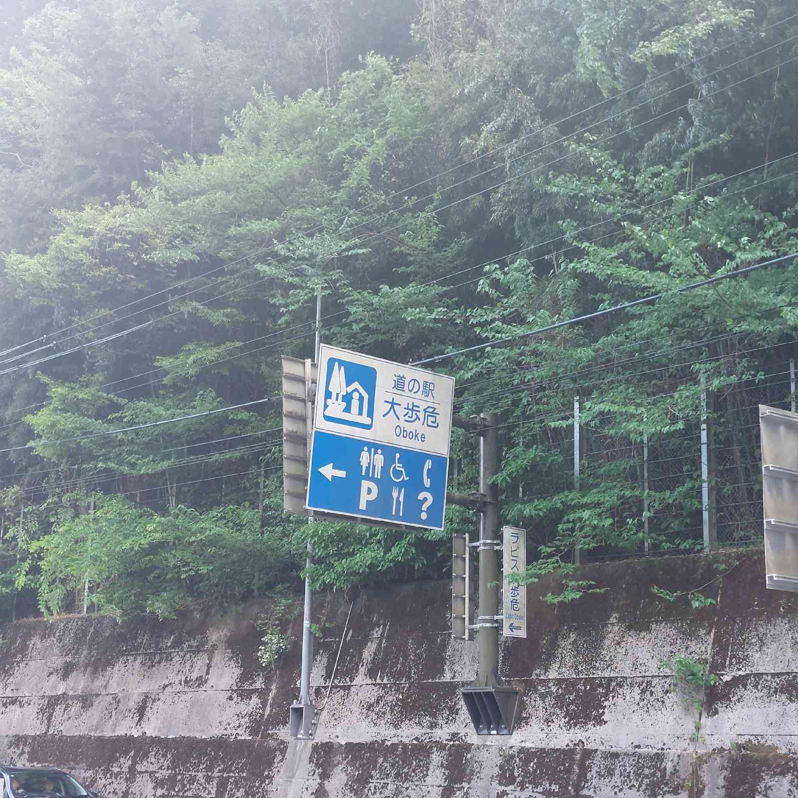 道の駅 大歩危の写真