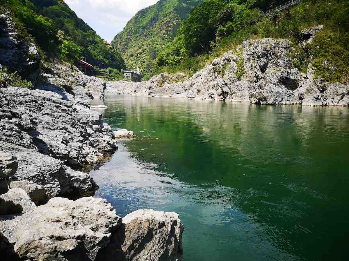 投稿された画像