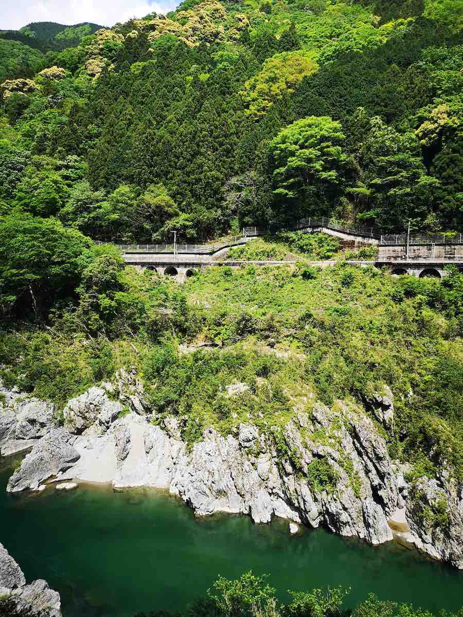 投稿された画像