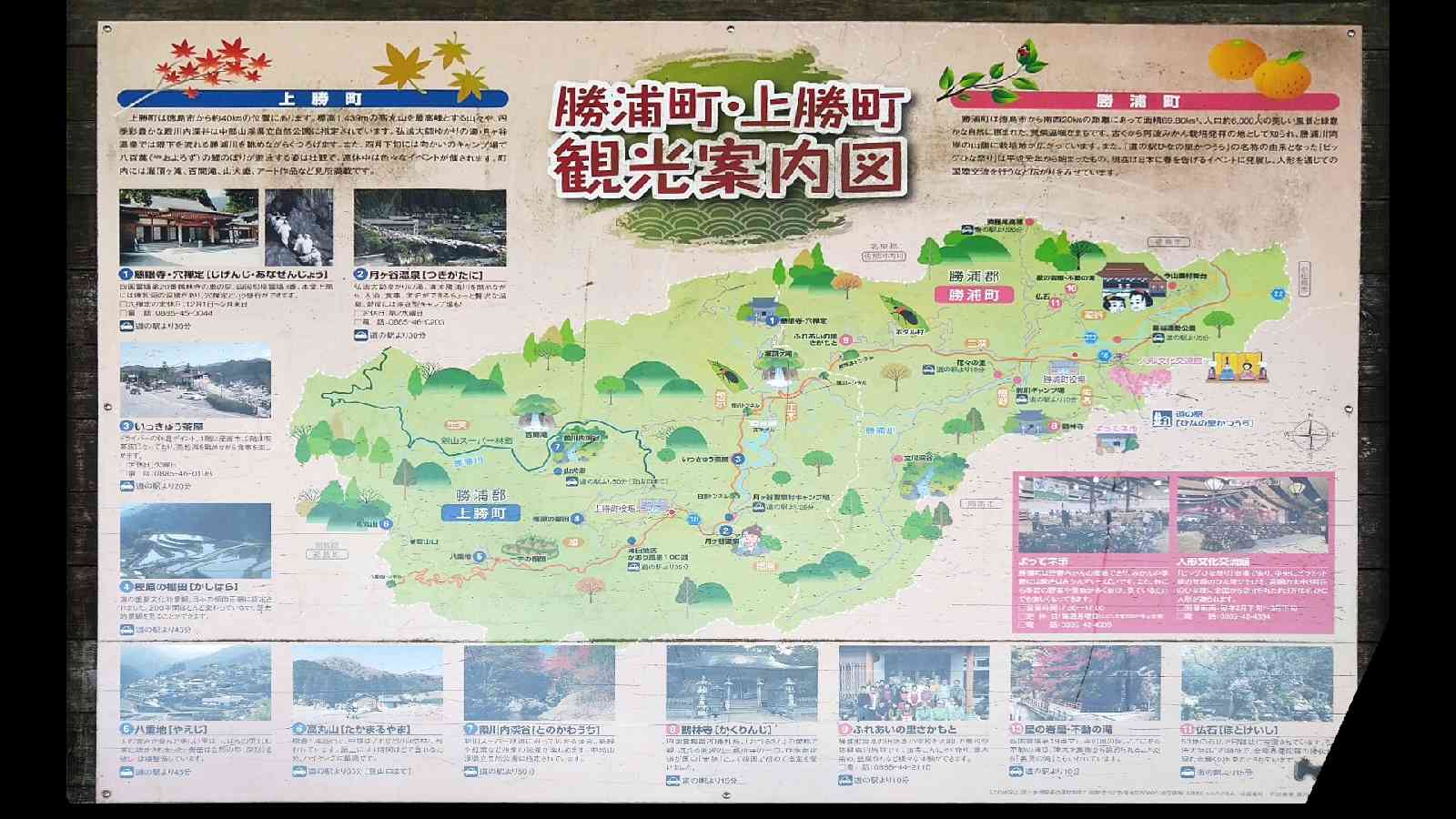 投稿された画像