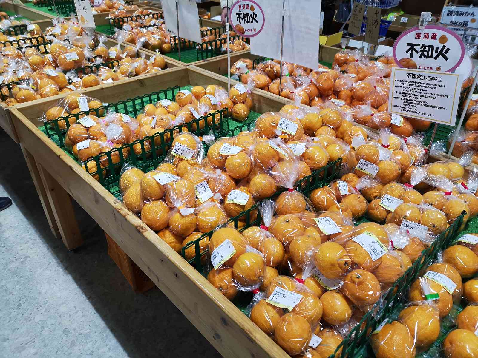 道の駅 ひなの里かつうらの写真