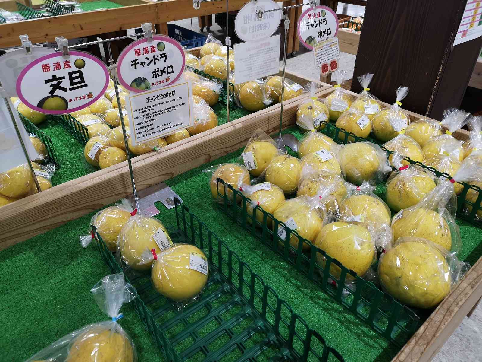 道の駅 ひなの里かつうらの写真
