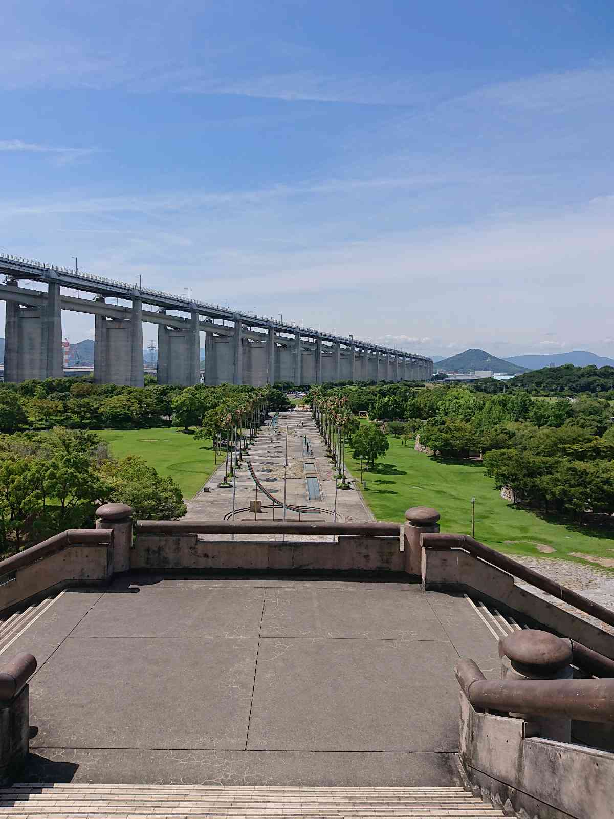 投稿された画像