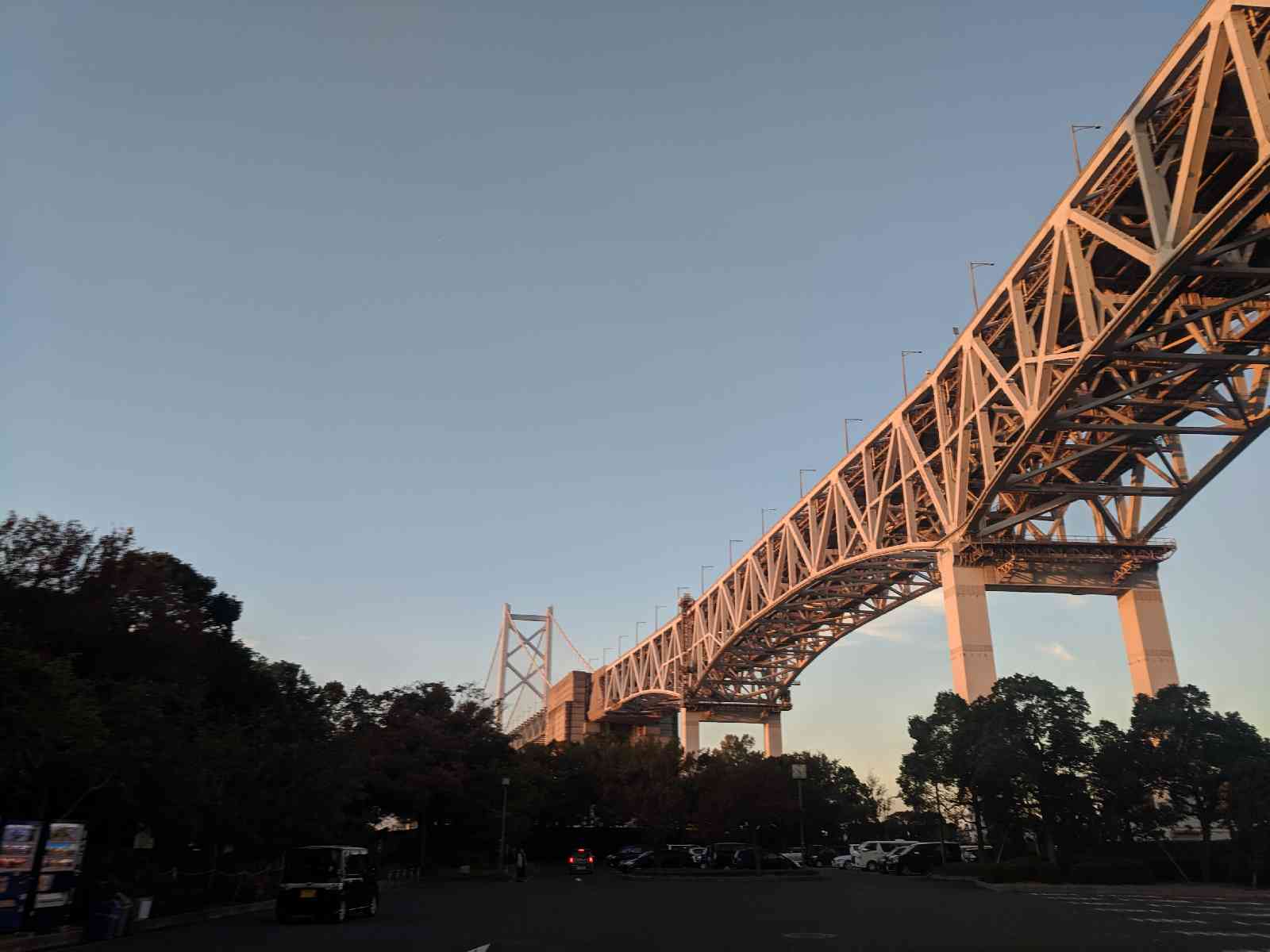 投稿された画像