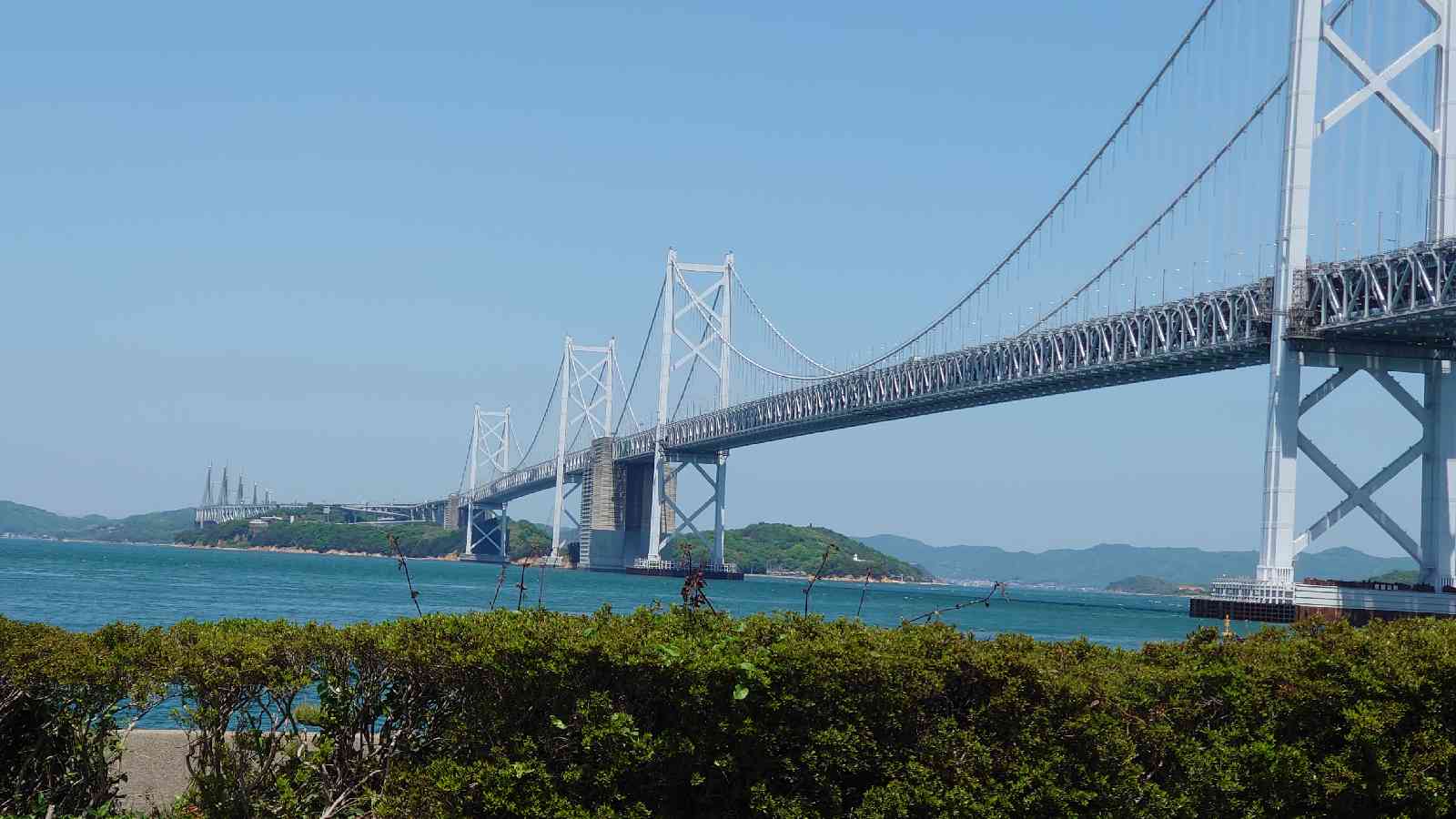 投稿された画像