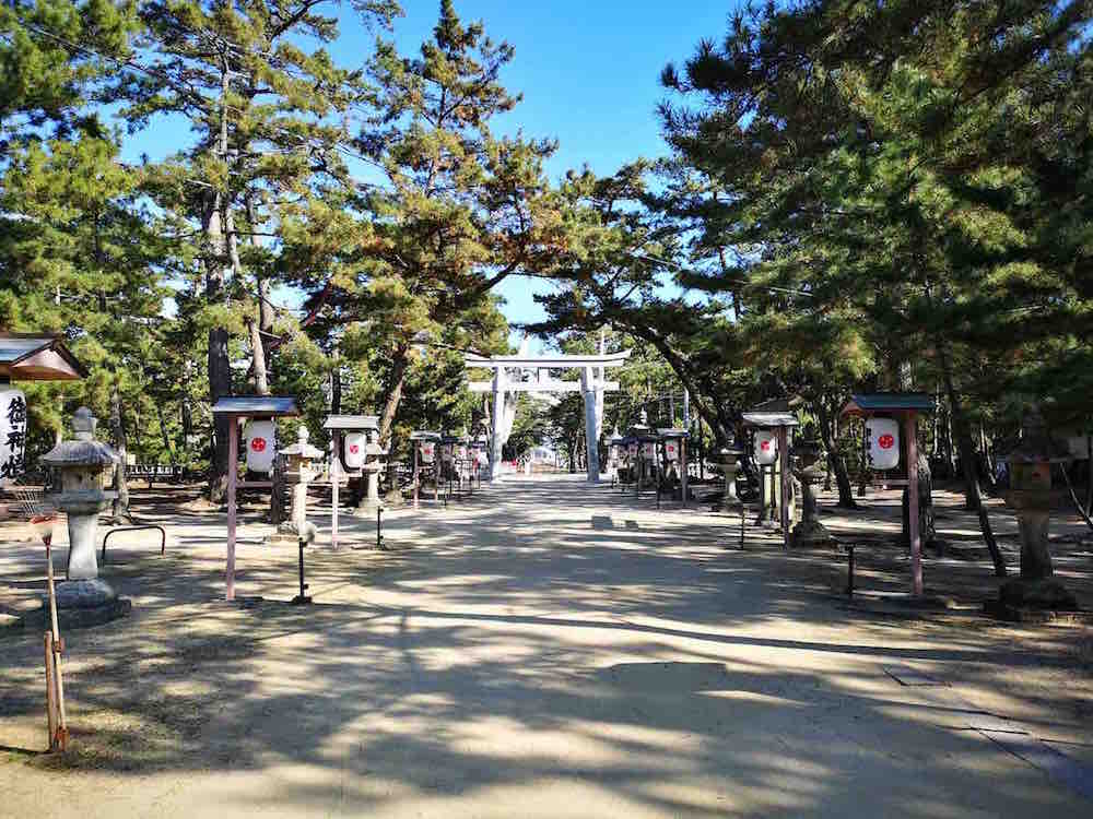投稿された画像