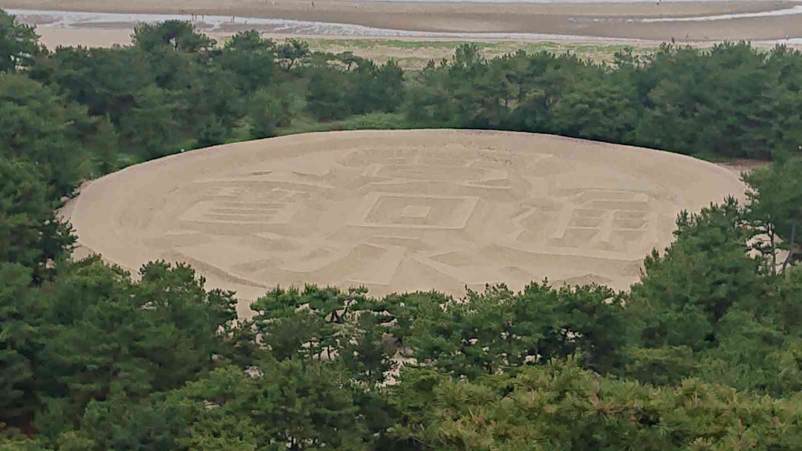 投稿された画像