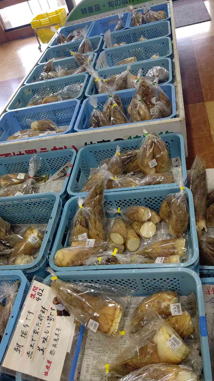 投稿された画像