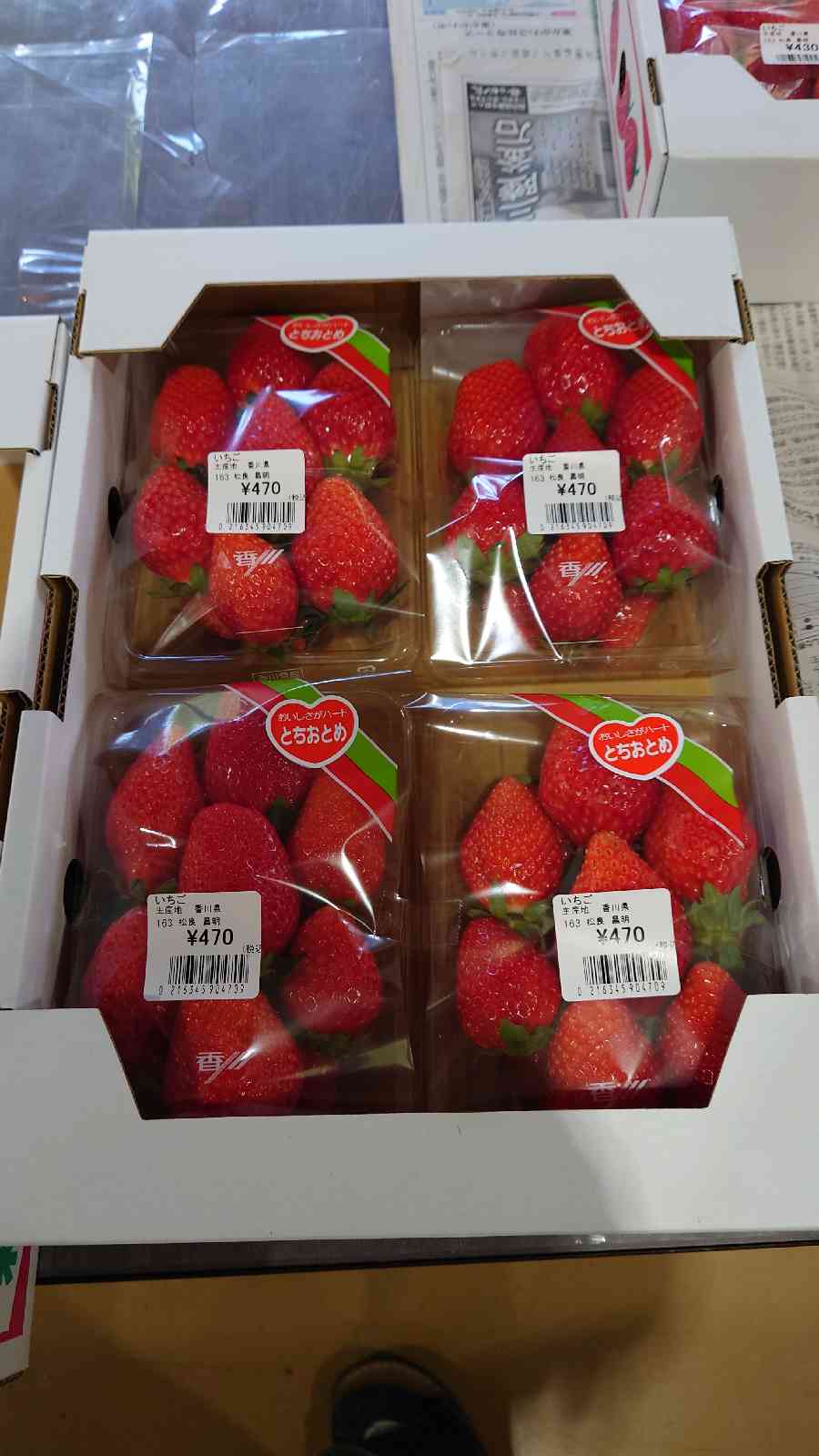 投稿された画像