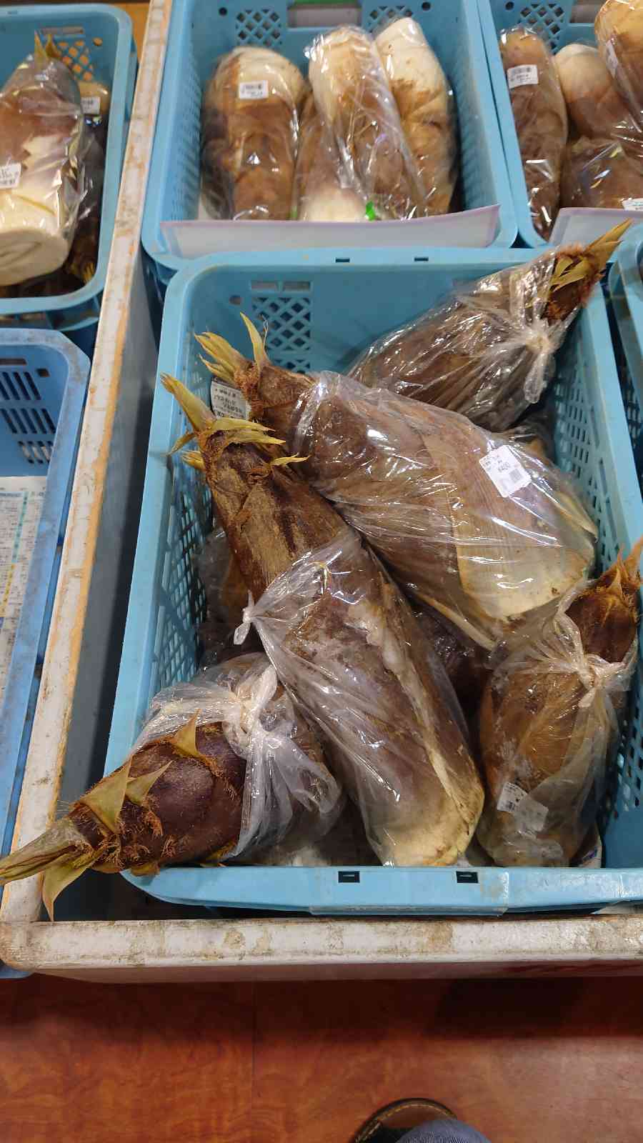 投稿された画像