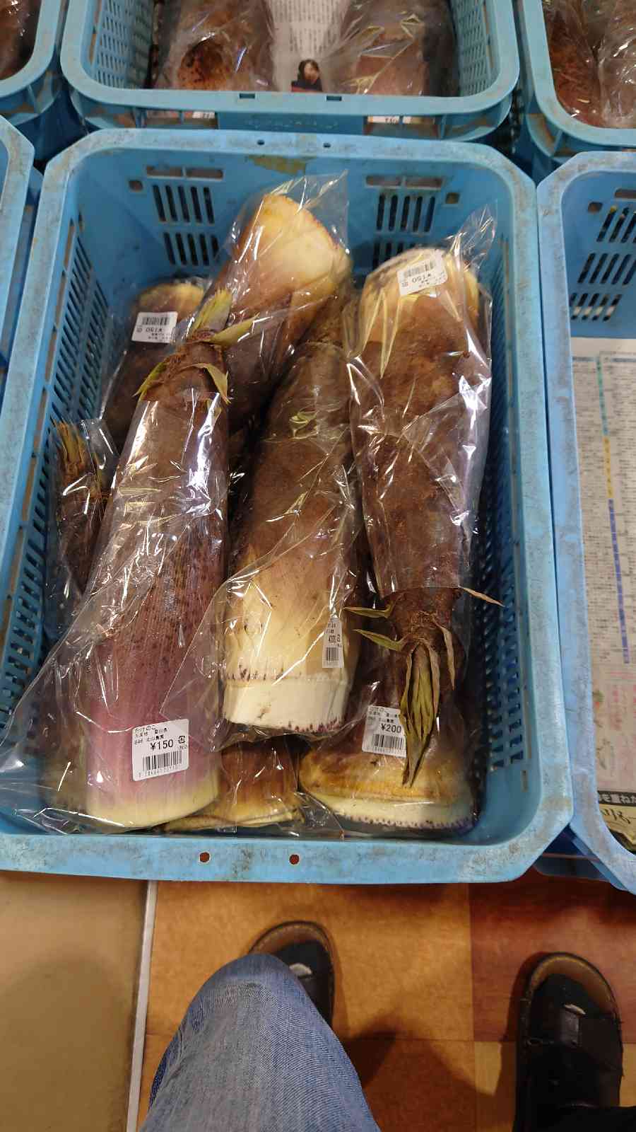 投稿された画像