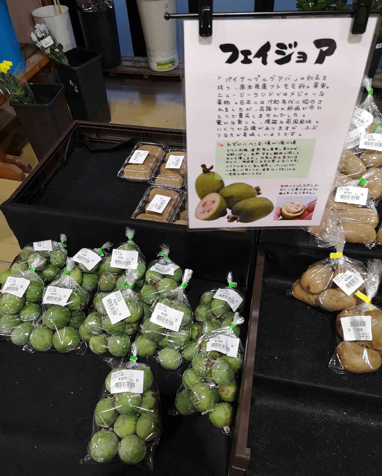 道の駅 空の夢もみの木パークの写真