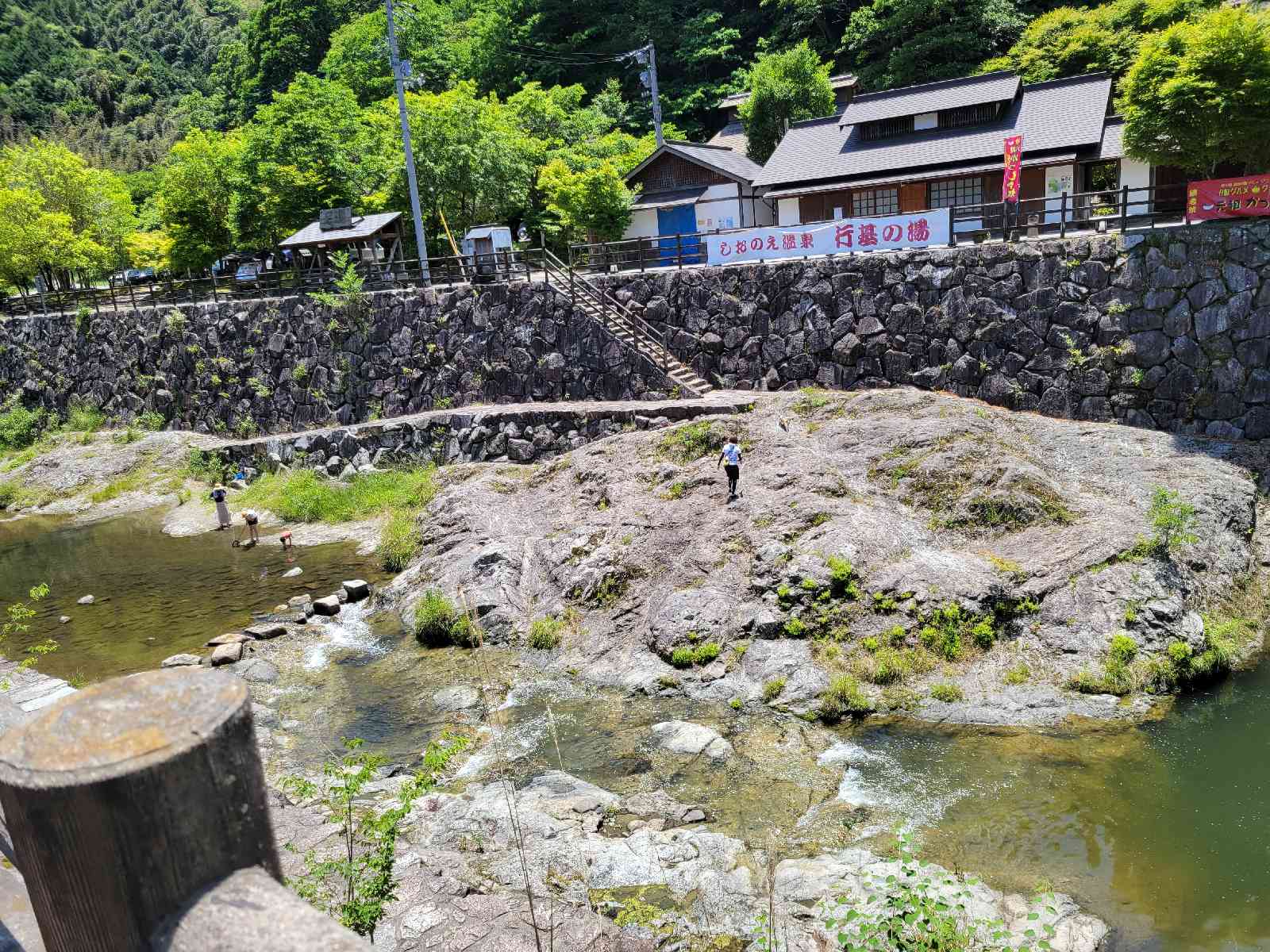 投稿された画像