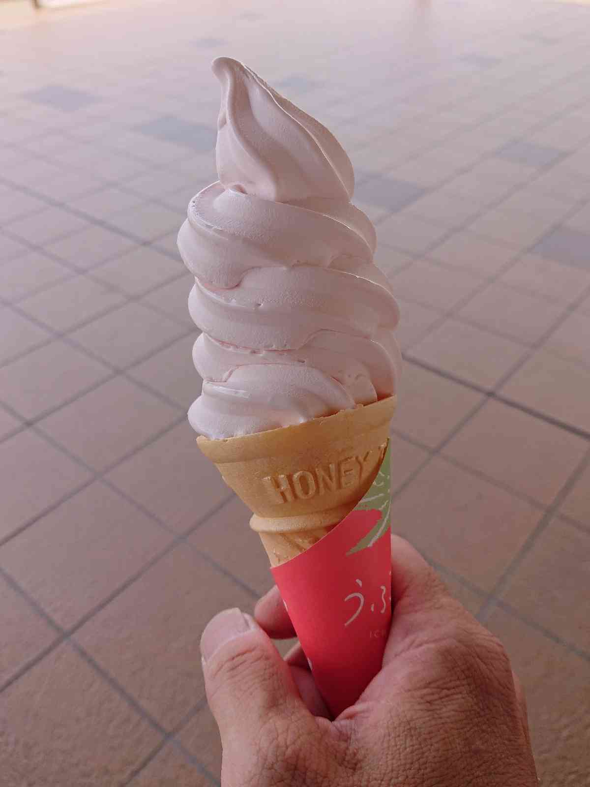 投稿された画像