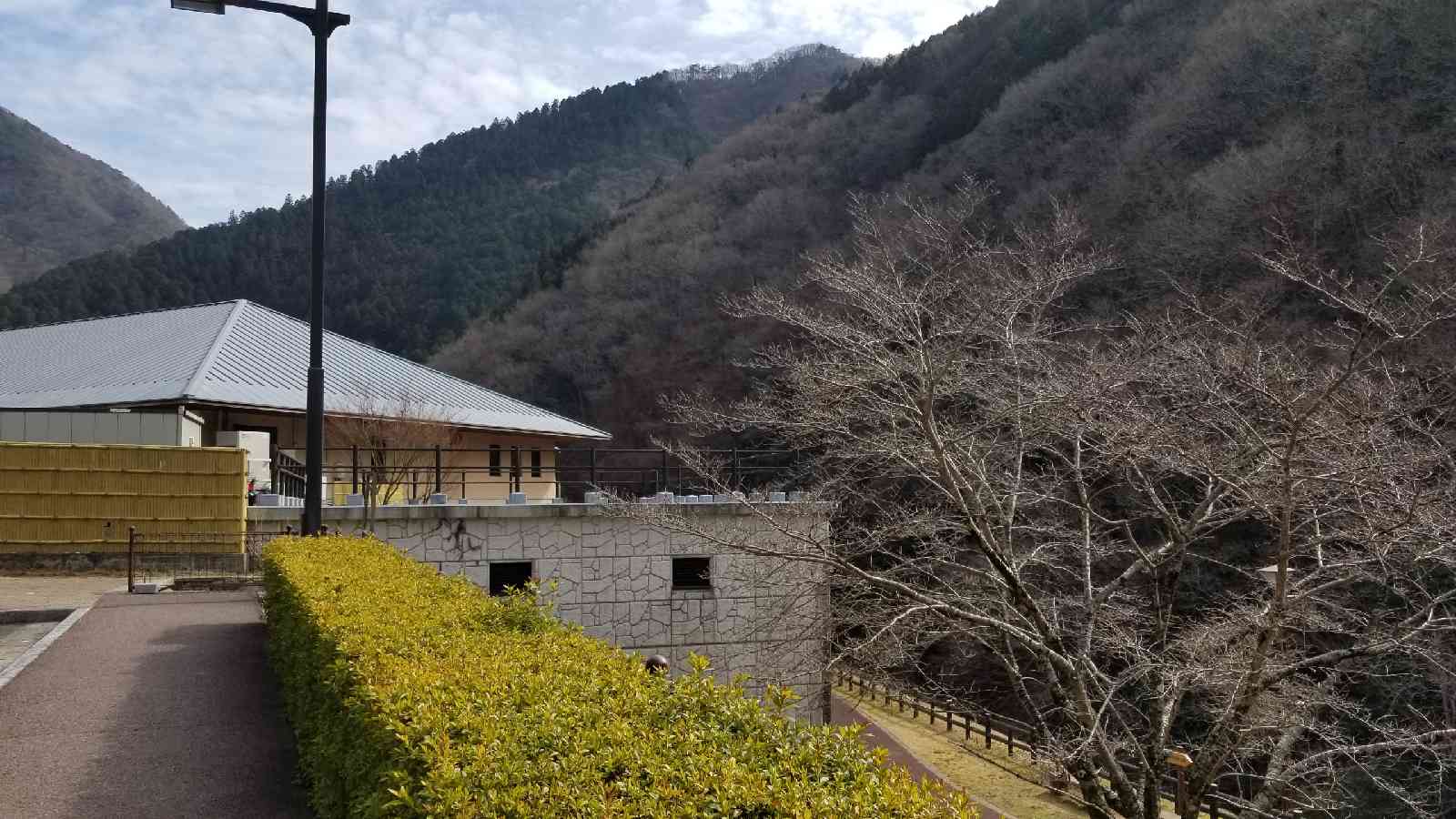投稿された画像