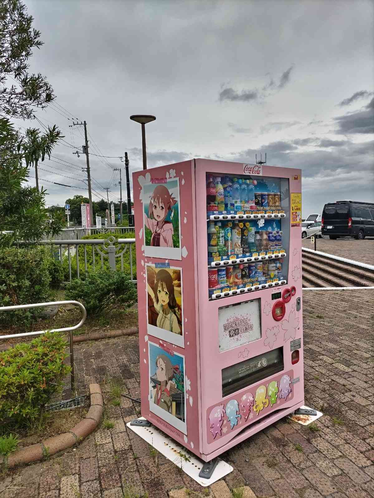 投稿された画像
