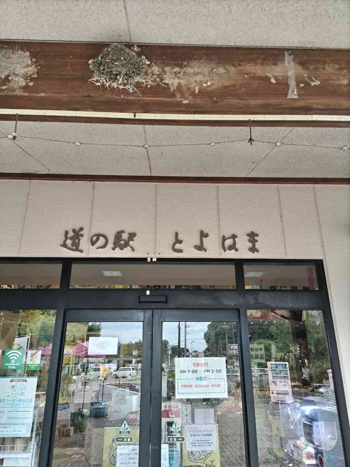 投稿された画像