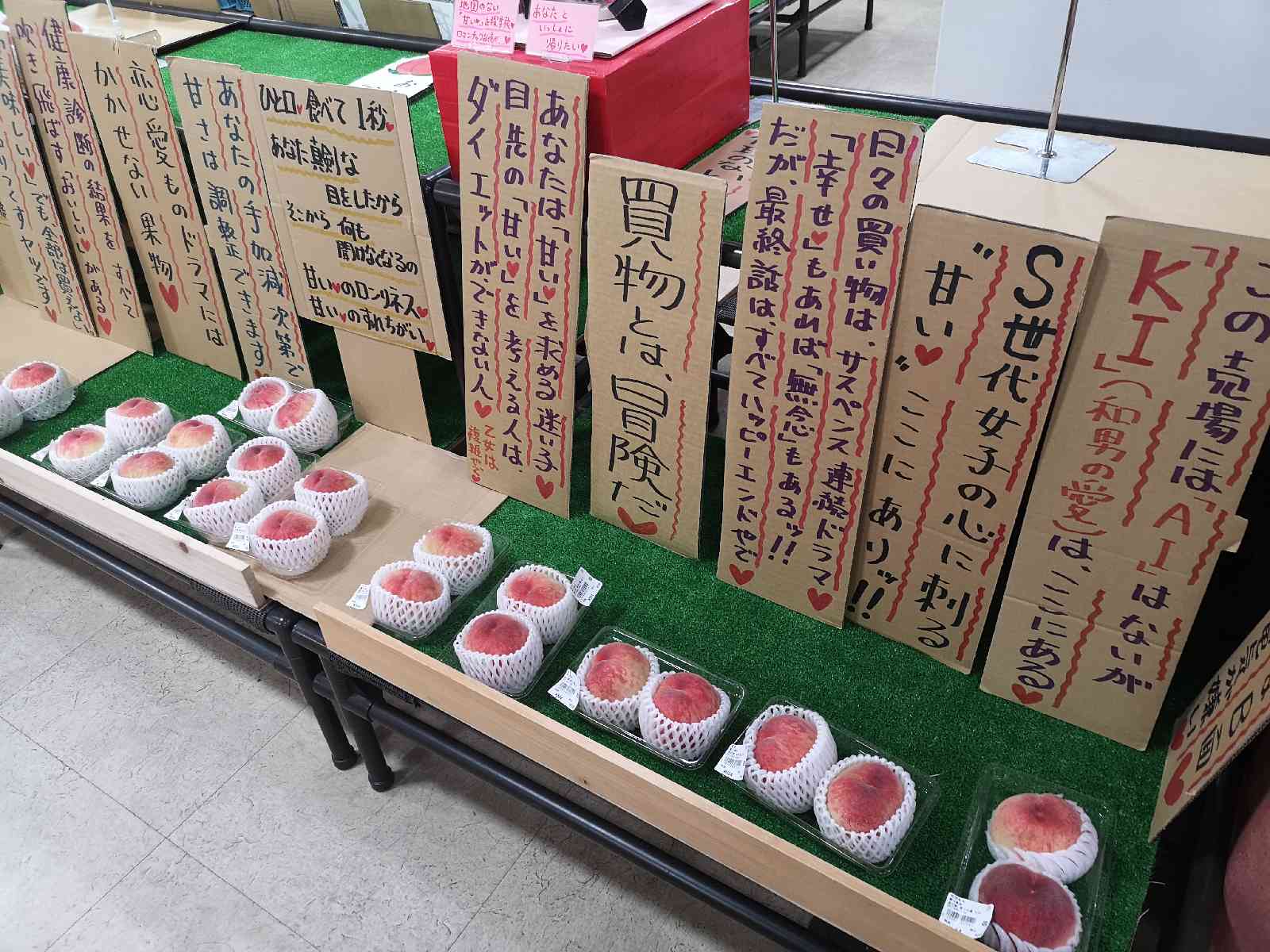 投稿された画像