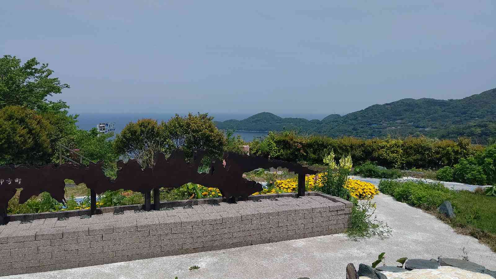 投稿された画像