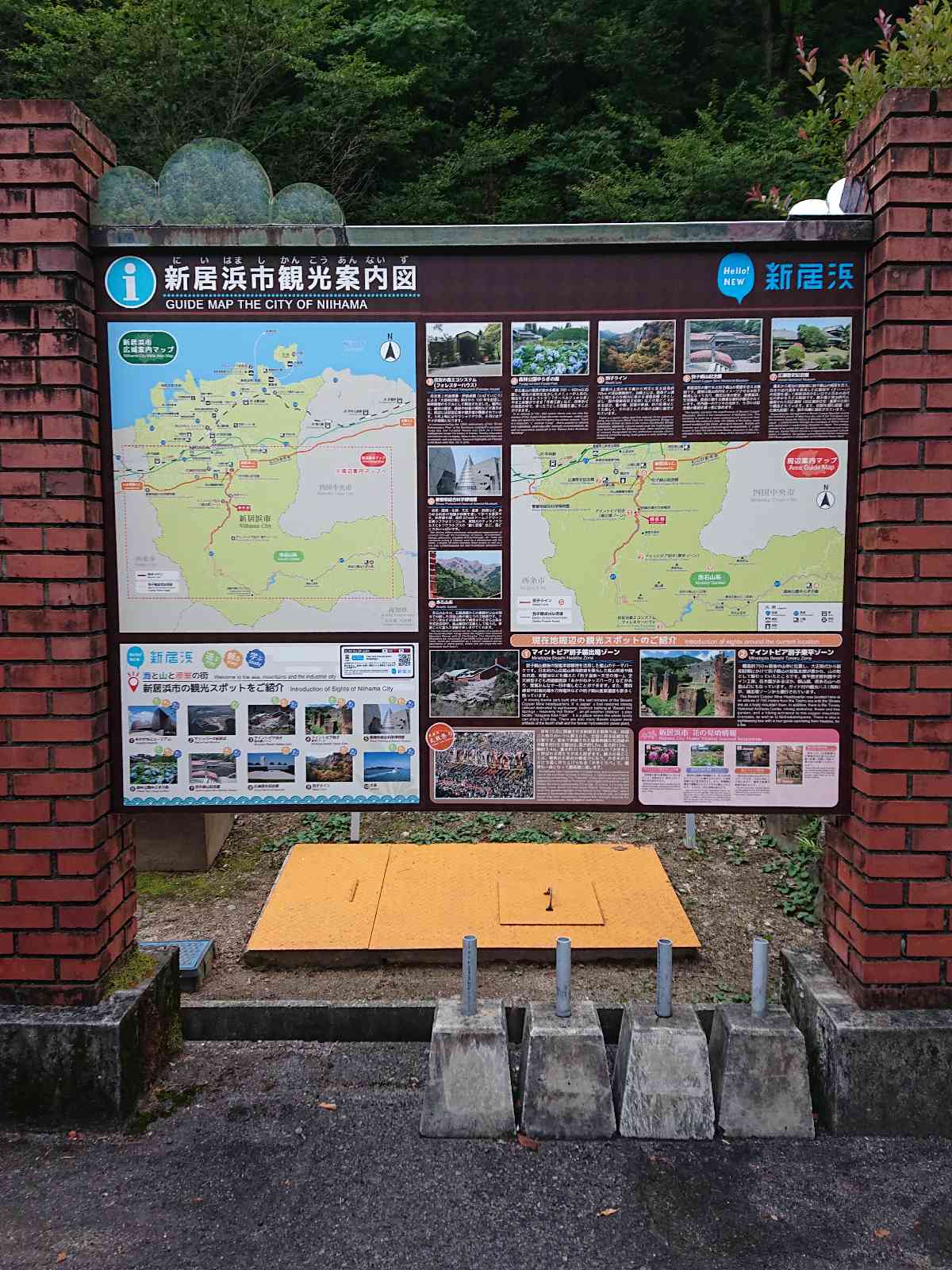 投稿された画像