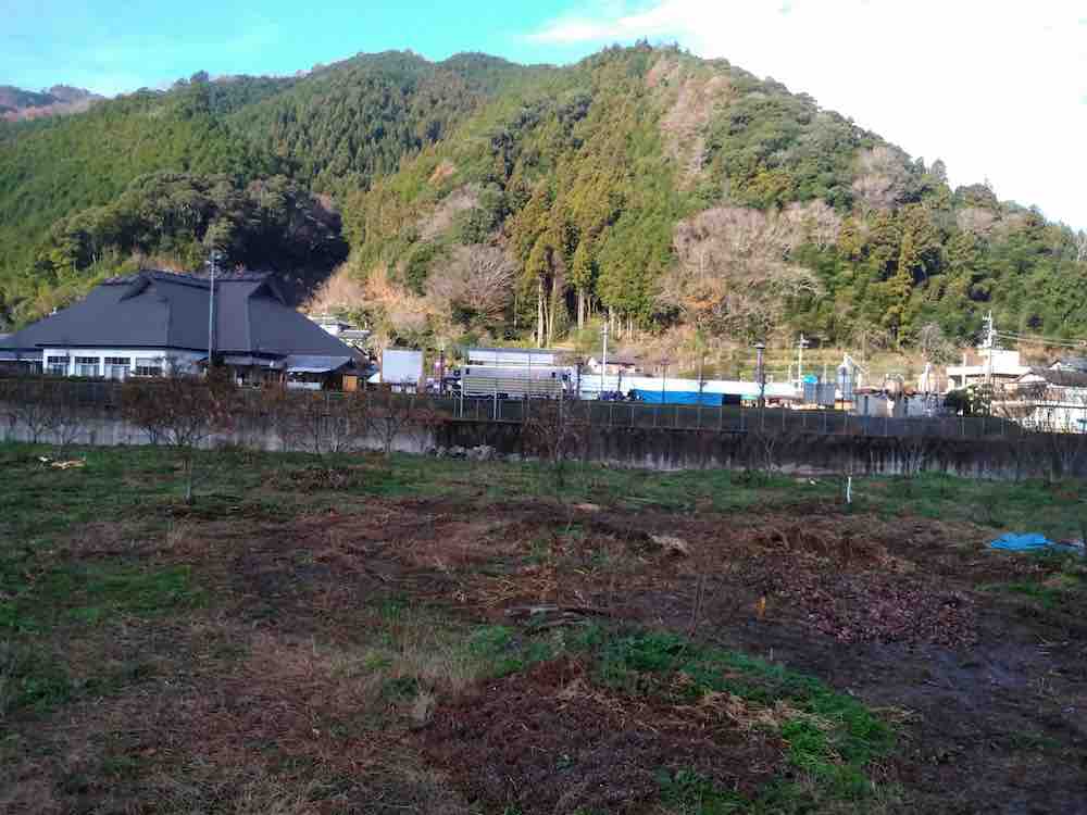 投稿された画像
