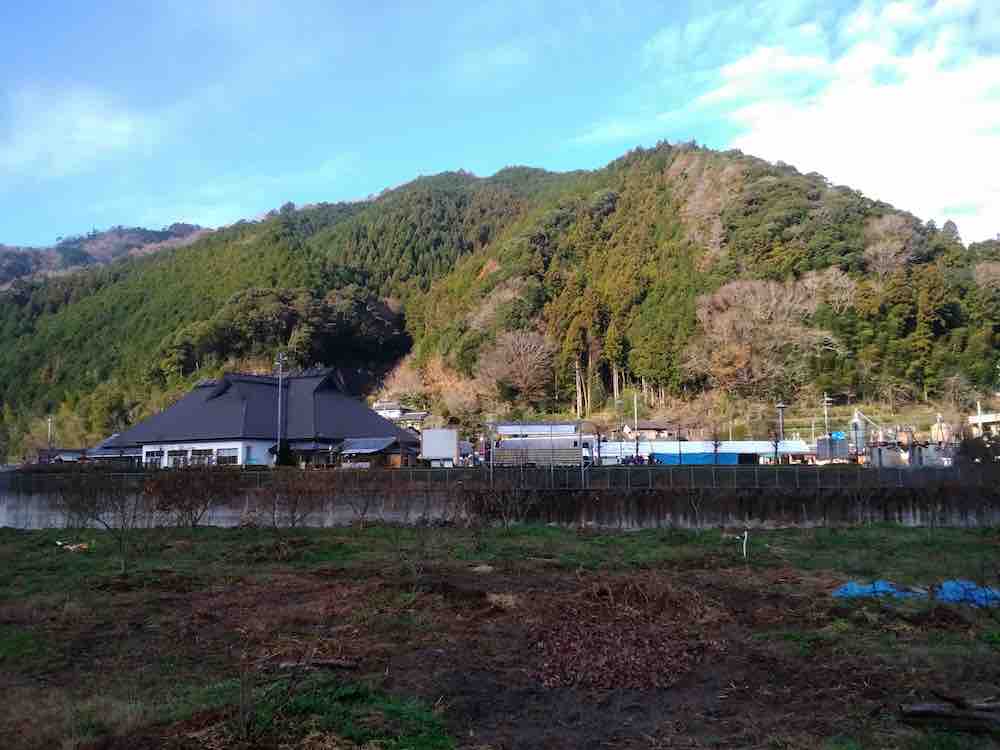 投稿された画像