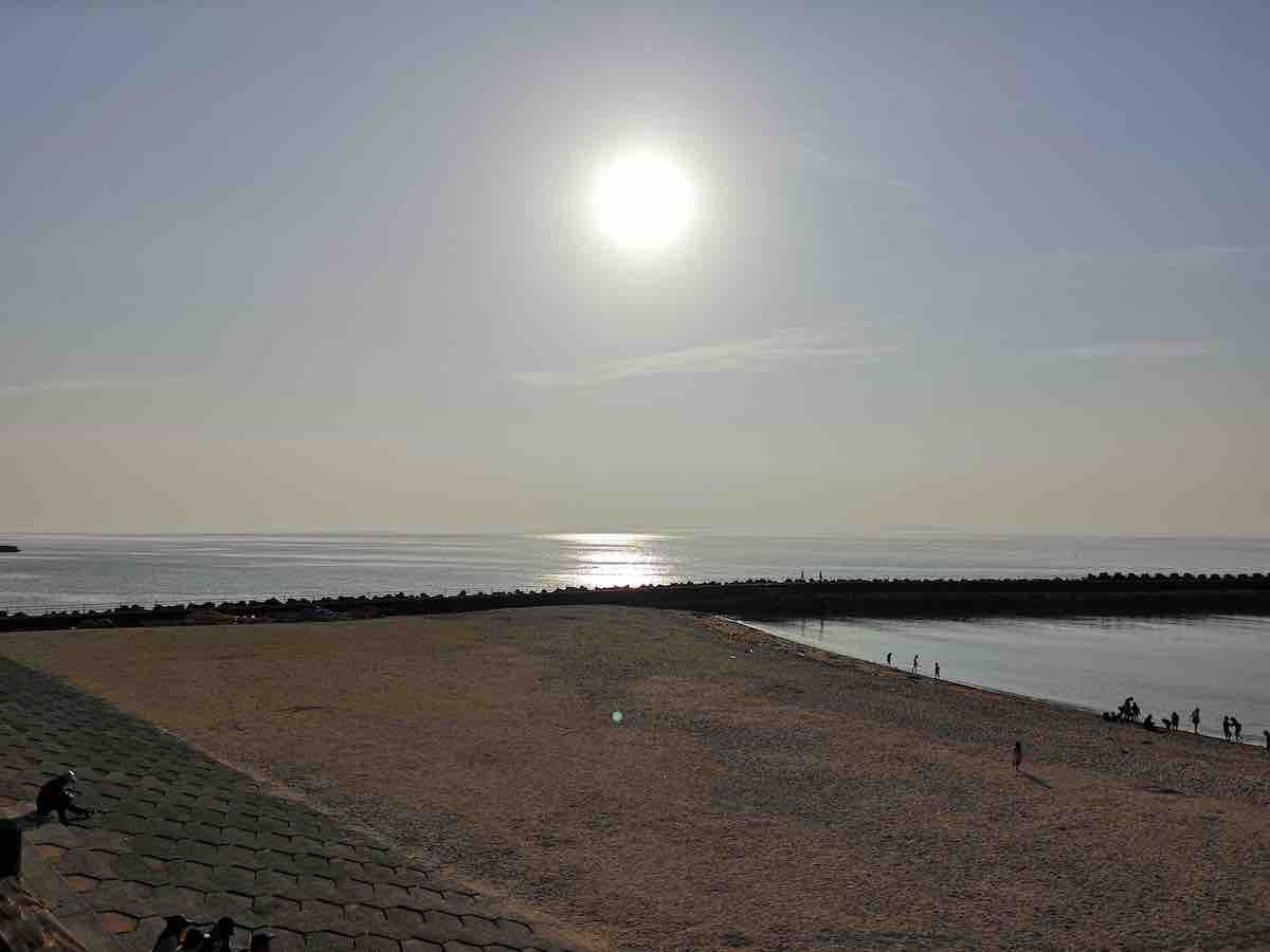 投稿された画像