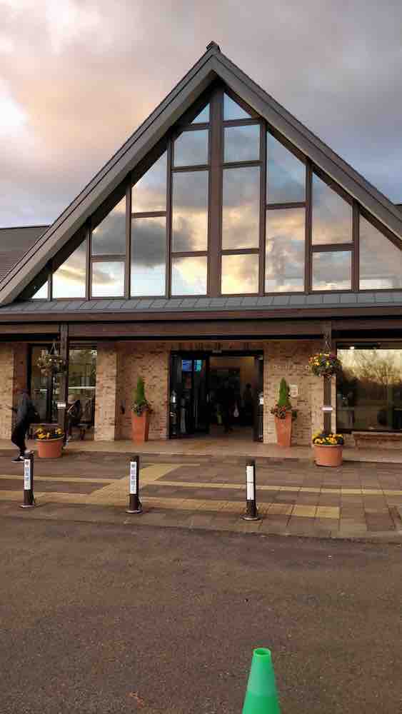 投稿された画像