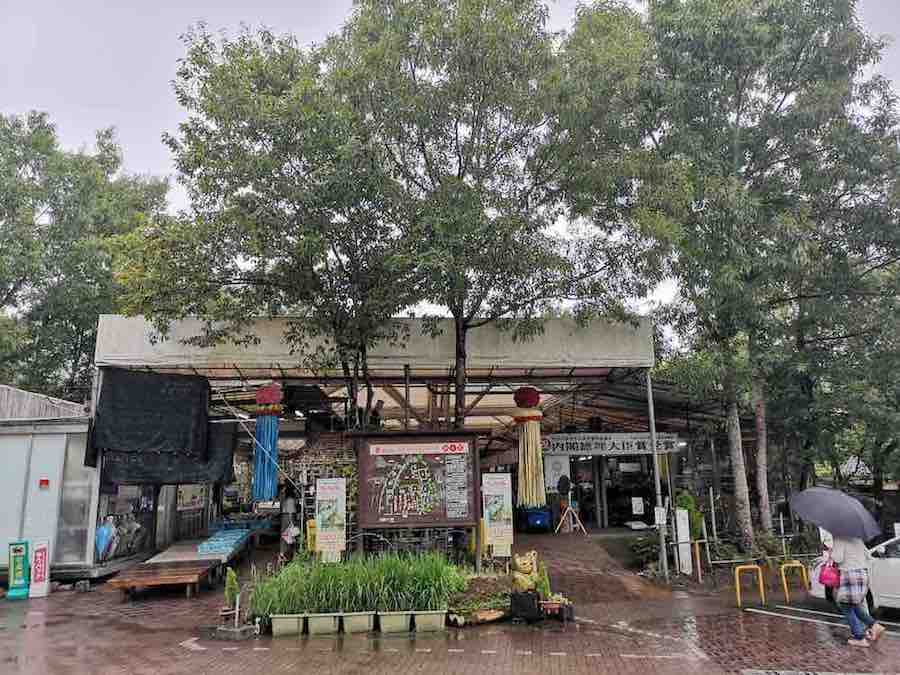 投稿された画像