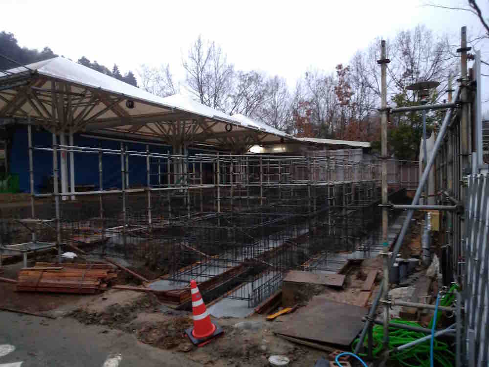 投稿された画像