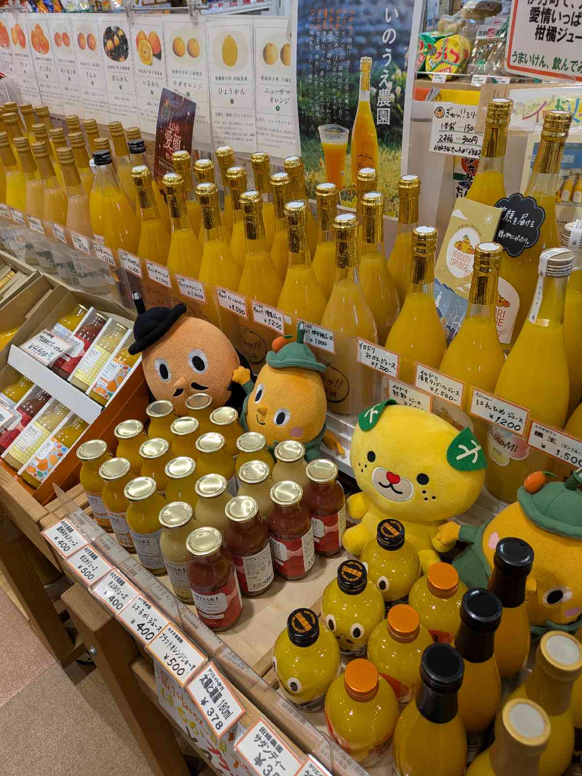 道の駅 伊方きらら館の写真