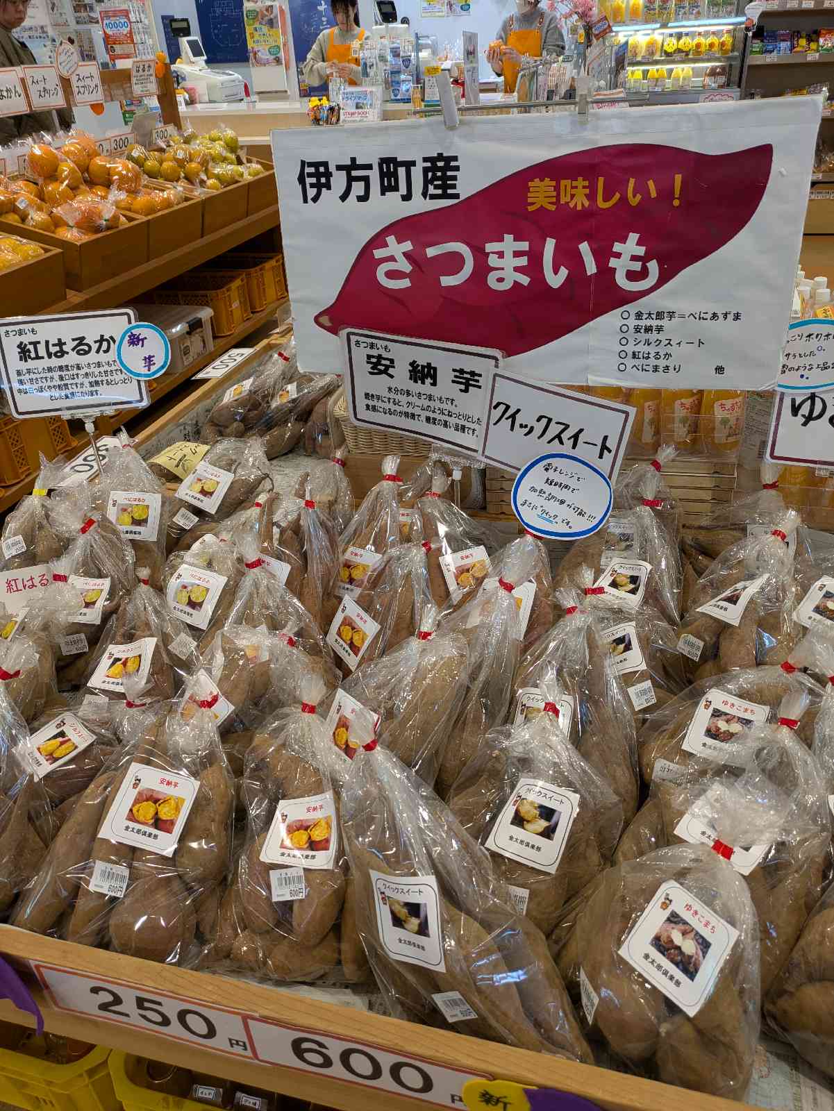 道の駅 伊方きらら館の写真