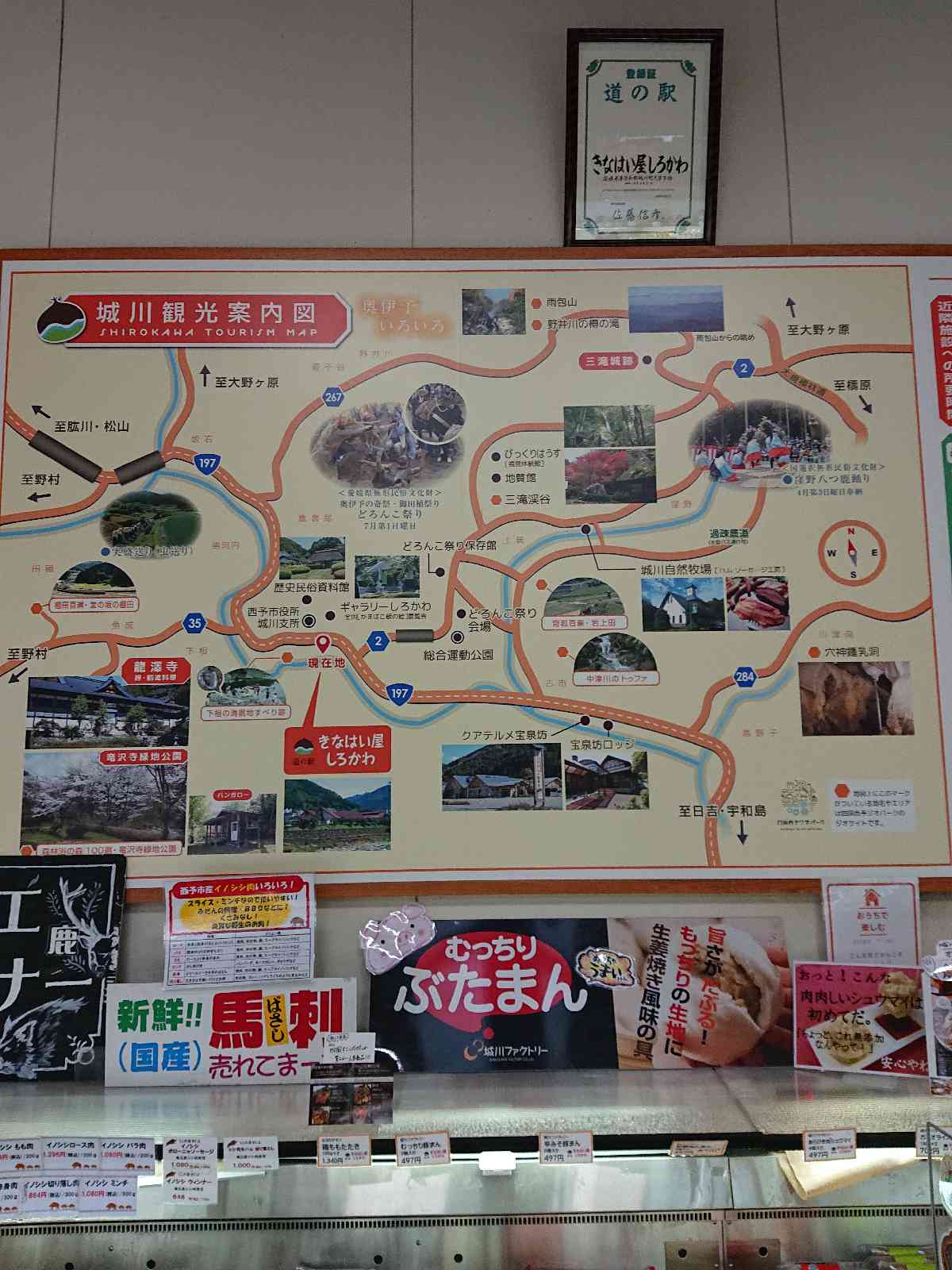 投稿された画像